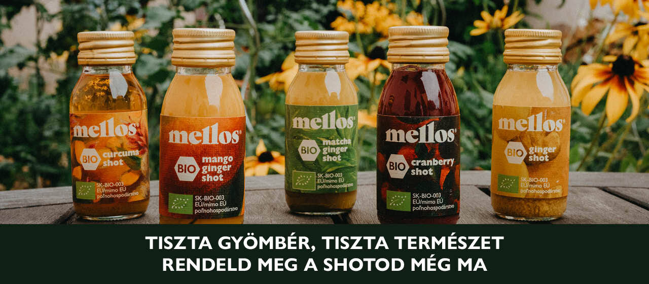 Ginger Shoty