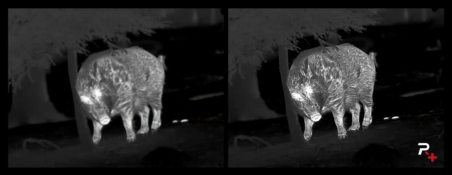 Ukázka funkce Reality+ pro vykreslení detailů zvěře v termovizním režimu