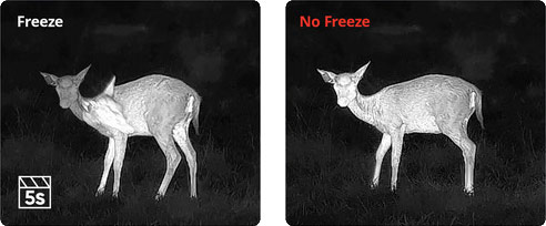 Hikmicro Stellar SX60LS 3.0 - zpomalení obrazu menší o 60 %