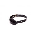 Dog Trace d-control professional 1000 mini