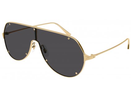 Cartier CT0324S