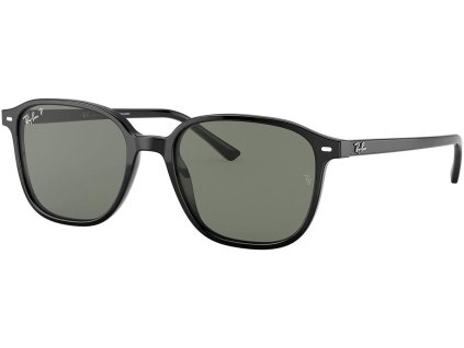 Ray-Ban RB2193
