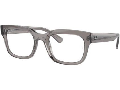 12263 ray ban rx7217
