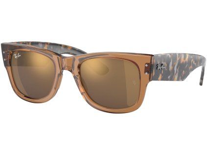 14228 ray ban rb0840s