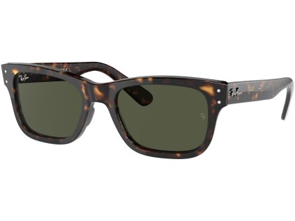 Ray-Ban RB2283