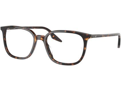 14660 ray ban rx5406