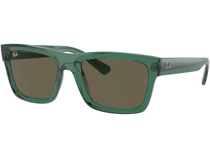15170 ray ban rb4396