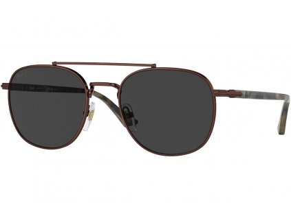 Persol PO1006S