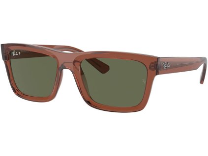 Ray-Ban RB4396