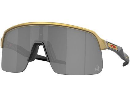 15581 oakley sutro lite pm gold w prizm black