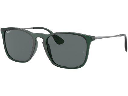 15614 ray ban rb4187