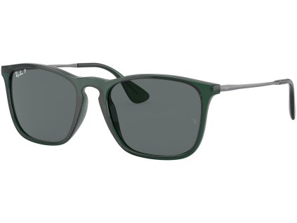 Ray-Ban RB4187