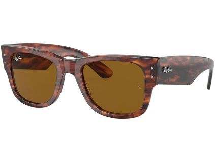 16869 ray ban rb0840s