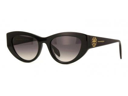 17676 alexander mcqueen am0377s