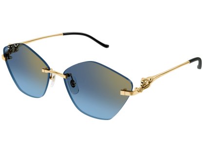 Cartier CT0429S