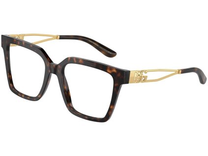 Dolce & Gabbana DG3376B RX