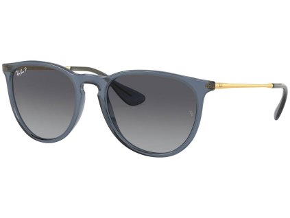 Ray-Ban Erika RB4171
