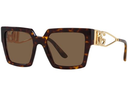 Dolce & Gabbana DG4446B