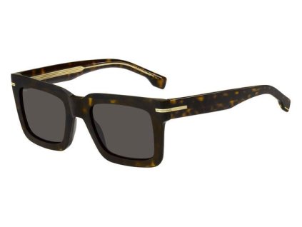 Hugo Boss 1501/S
