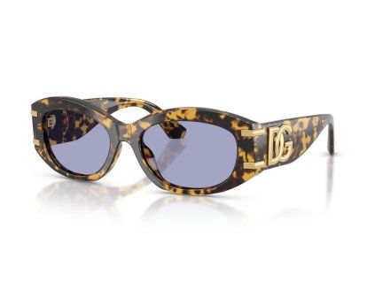 20956 dolce gabbana dg4502