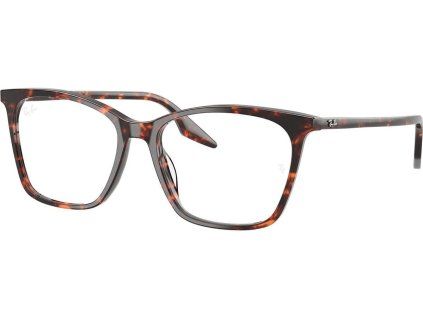 21013 ray ban rx5422