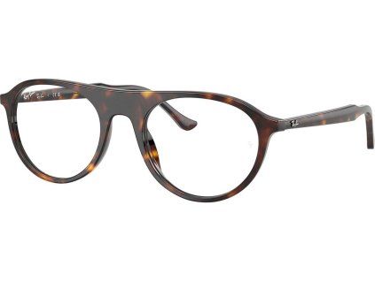 21031 ray ban rx5441