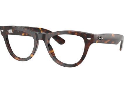 21037 ray ban rx5510