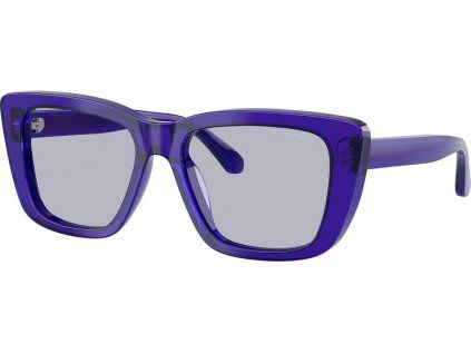 21325 emporio armani ea4246u
