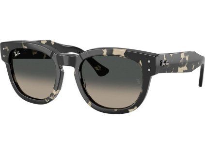 21361 ray ban rb0298s