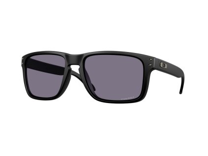 Oakley Holbrook XXL Matte Black w/ Prizm Grey