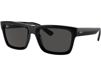 21517 ray ban rb4396