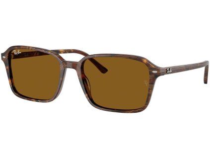 21595 ray ban rb2231