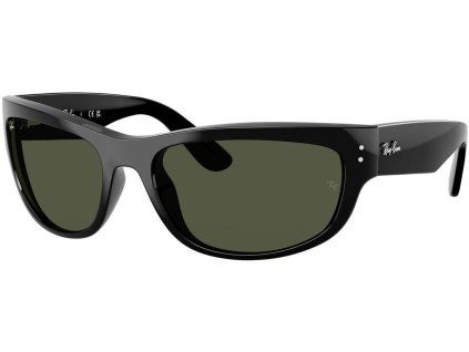 21598 ray ban rb2289