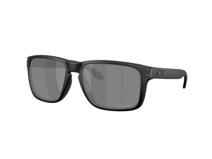 Oakley Holbrook XXL Matte Black w/ Prizm Black