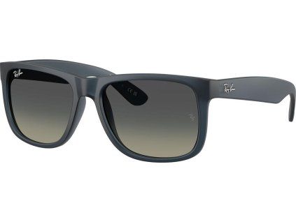 21781 ray ban ray ban justin rb4165