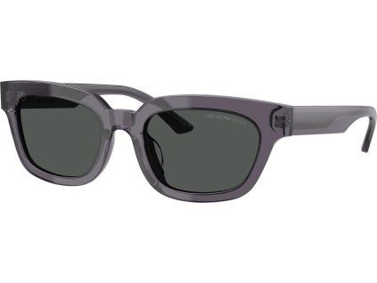 21805 emporio armani ea4233u