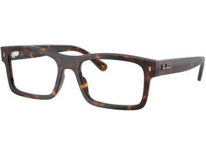 21838 ray ban rx5435
