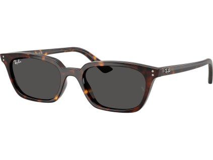21889 ray ban rb4456