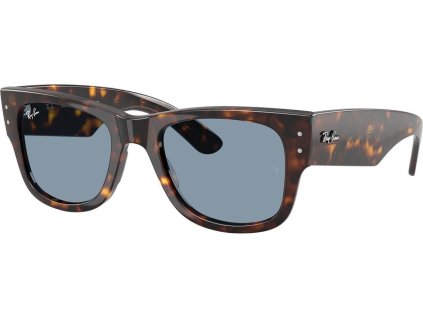 Ray-Ban RB0840S