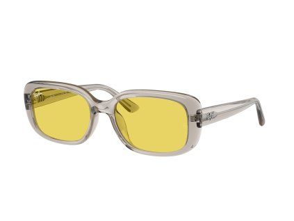 Ray-Ban RB4421D - celkový pohled