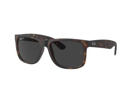 Ray-Ban Justin RB4165