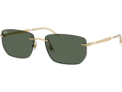 Ray-Ban RB3768
