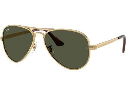 Ray-Ban RB3925