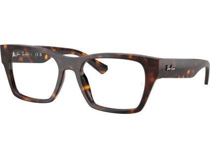 24790 ray ban rx5448