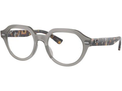 24922 ray ban rx7214