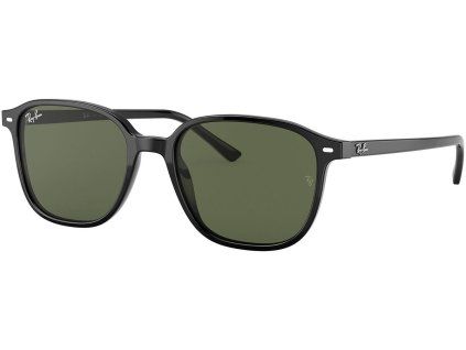 25225 ray ban rb2193