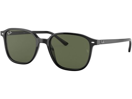 Ray-Ban RB2193