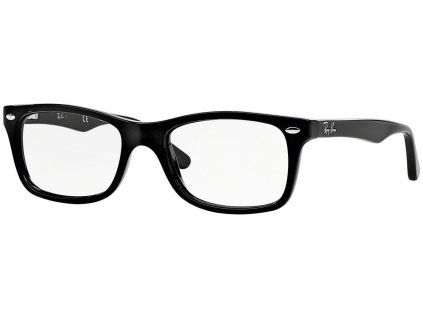 4110 ray ban rx5228