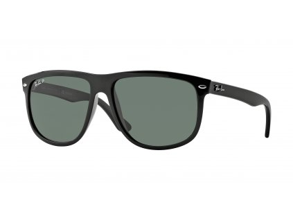 Ray-Ban RB4147