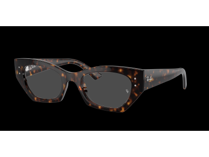 Ray-Ban RX7330 - celkový pohled